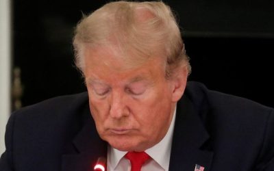 Trump 8