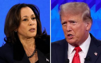 Trump Harris