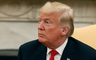 Trump New York Times