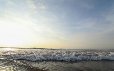 Tsunami A_UNO_1260828_62eba
