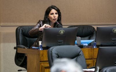 María José Gatica (RN), Senadora de Los Ríos.