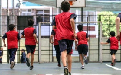 ley actividad física