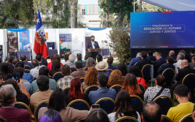 Boric revolucionario