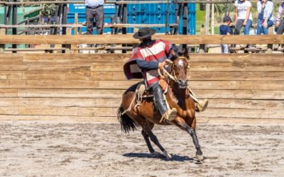 deportistas Duco rodeo