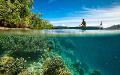 punto de inflexión climático