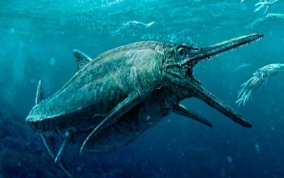 descubren-los-restos-del-reptil-marino-gigante-que-controlaba-el-oceano-1
