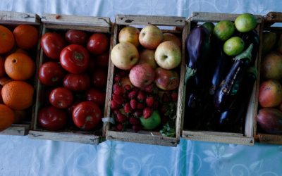 desperdicio de alimentos