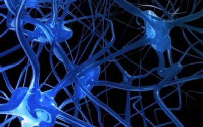 Disautonomía: ¿En qué consiste esta enfermedad?