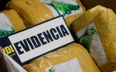 droga A_UNO_1699463_20ae4