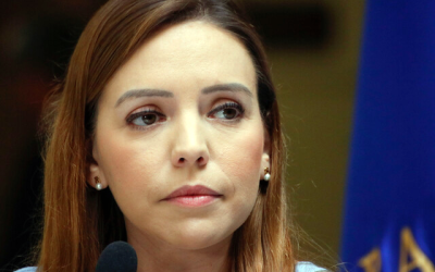 Flores sistema político