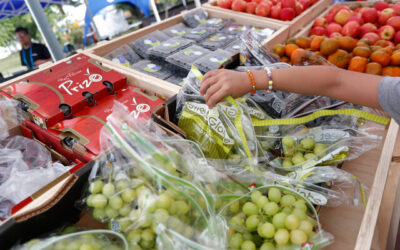 fruta