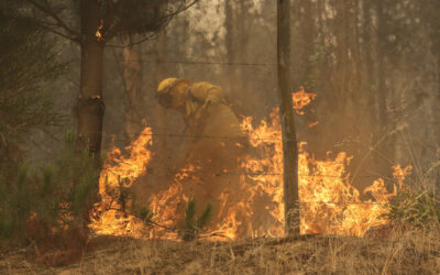El Servicio Nacional de Prevención y Respuesta ante Desastres (Senapred) ha emitido dos alertas SAE con el fin de coordinar la evacuación de los sectores Las Canchas y Las Cahuellas, ubicados en la comuna de Puerto Montt. Esta medida responde a la presencia de un incendio forestal en las proximidades de zonas habitadas.