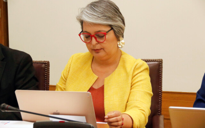 Jara pensiones marzo