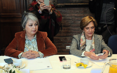 Jara Matthei búsqueda