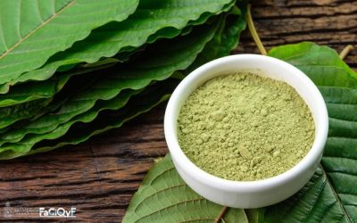 Kratom: La nueva droga de alto poder adictivo que llegó a Chile