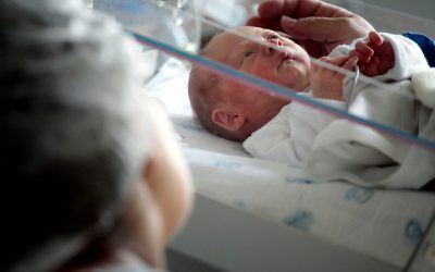 maternidad A_UNO_061626_0b6be