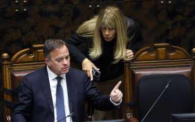 Demócratas primarias