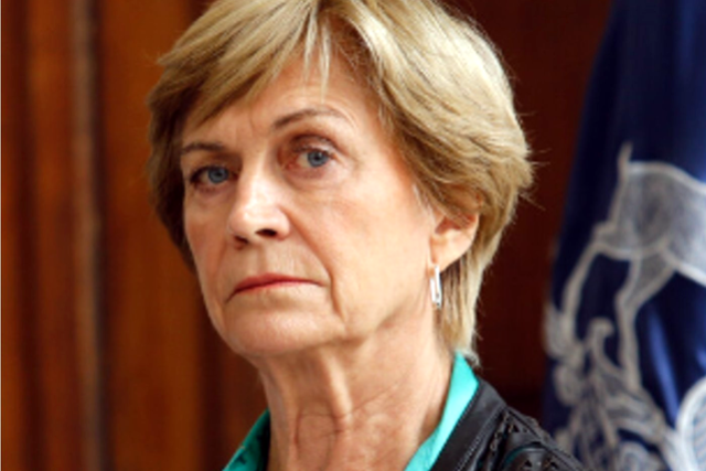 Matthei Macaya