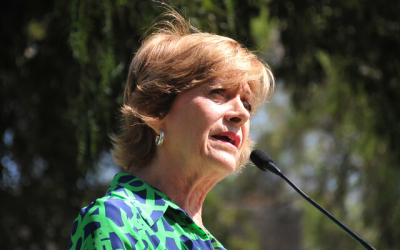 Matthei encuesta Criteria