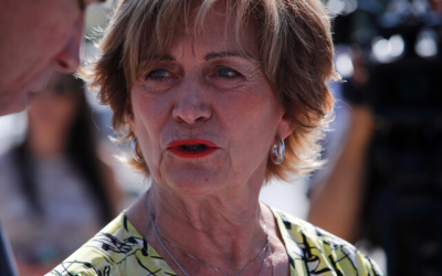 Matthei migración irregular