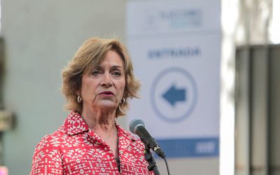 Matthei alianza electoral