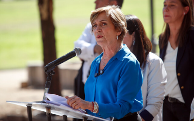 Data Influye Matthei