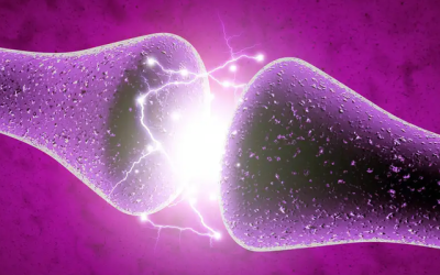 neuronas artificiales