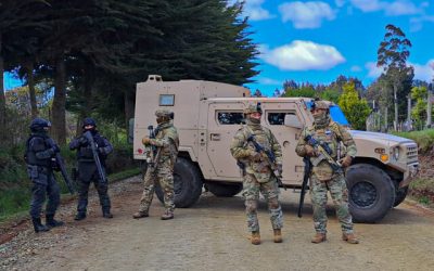 armas usadas por la WAM