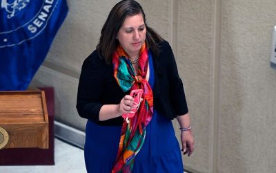 Vodanovic progresismo