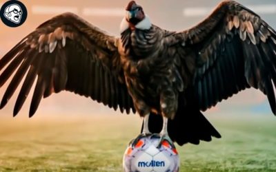 Crédito @arengadelabuelochile vía Instagram