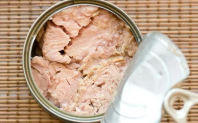 pescado-atun-nutricion_499711411_154276028_1024x576