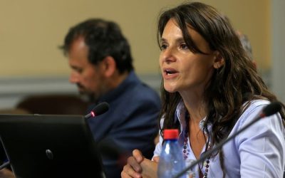 Andrea Repetto: este año, los desafíos económicos, "son más bien políticos".