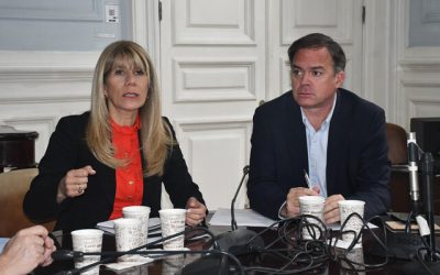 Demócratas: Rincón competirá con Matthei por candidatura presidencial