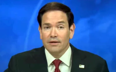 Rubio cubanos