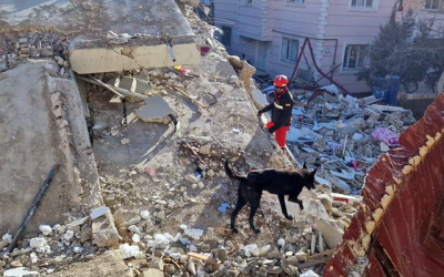 terremotos Venezuela