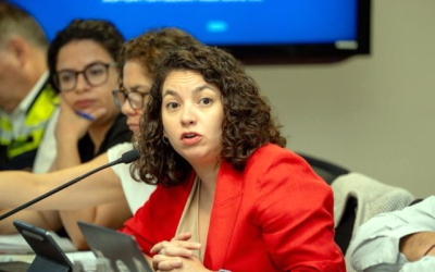 Toro reconstrucción