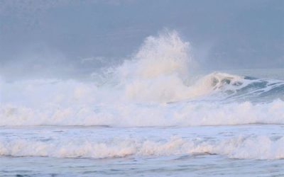 Tras terremoto en Japón tsunami alcanza islas al sur de Tokio