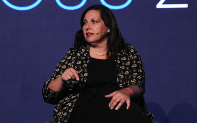 Vodanovic delincuencia