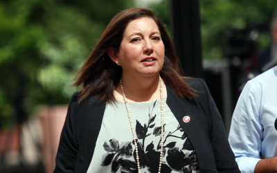 Vodanovic gobierno Allende