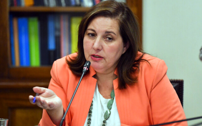 Vodanovic plebiscito gobierno